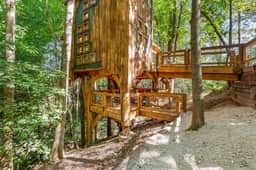 Amazonia- Pet Friendly, Firepit, Outdoor Shower - Image 2