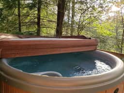 Hidden Chalet- Hot Tub, WiFi, Pac Man Arcade, Firepit - Image 2