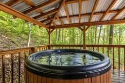 Beary Secluded | No Pet Fee, Hot Tub + WiFi & Firepit - Image 2