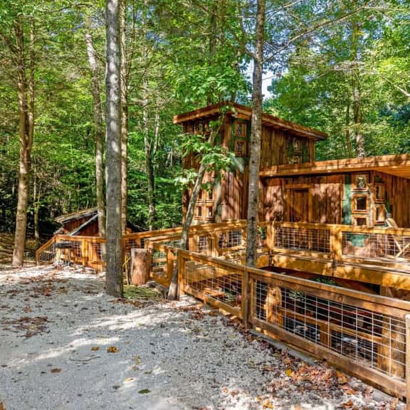 Amazonia | Pet-Friendly Treehouse + Outdoor Shower - Image 1