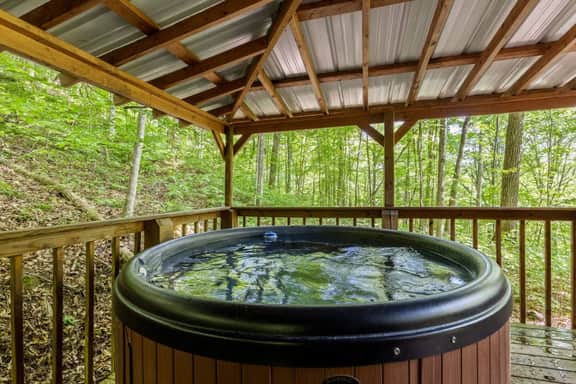 Beary Secluded- No Pet Fee, Hot Tub, Firepit, WiFi - Image 2
