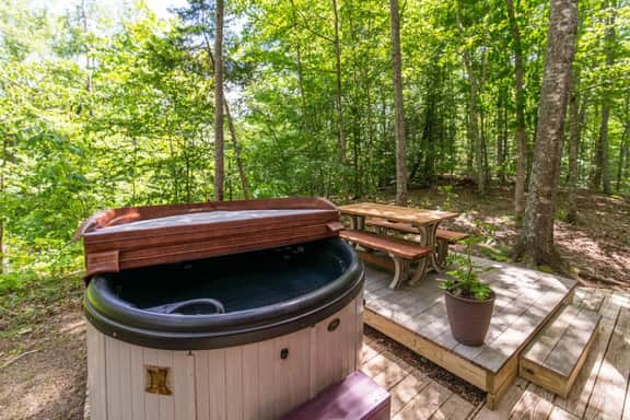 Gorgeous View Cabin- Pet Friendly, Hot Tub, Firepit, WiFi - Image 2