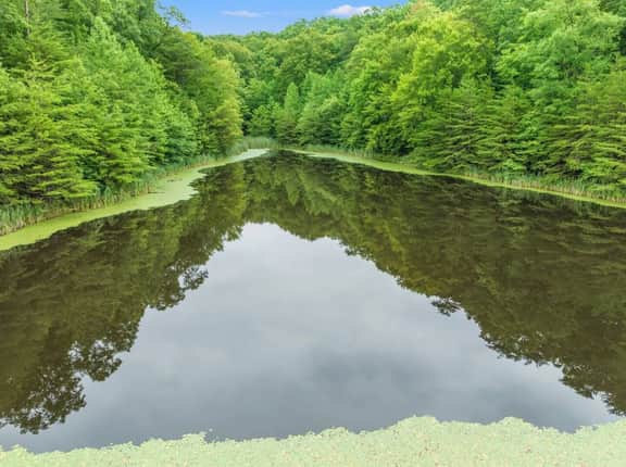 Hidden Treasure- Private Pool, Firepit, Pond, 1600 Acres - Image 3