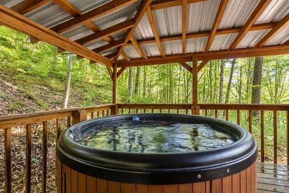 Beary Secluded | No Pet Fee, Hot Tub + WiFi & Firepit - Image 2
