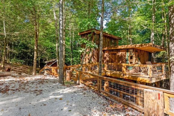 Amazonia- Pet Friendly, Firepit, Outdoor Shower - Image 1