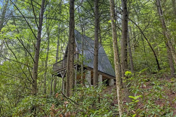Fern Grove - Image 1