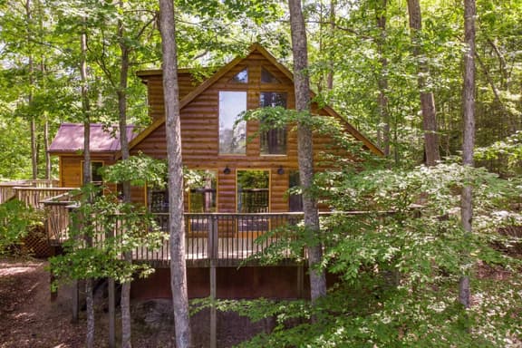 Gorgeous View Cabin- Pet Friendly, Hot Tub, Firepit, WiFi - Image 1